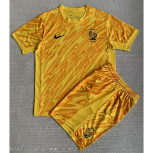 Camisa de Futebol França Goleiro Equipamento Principal Infantil Europeu 2024 Manga Curta (+ Calças curtas)